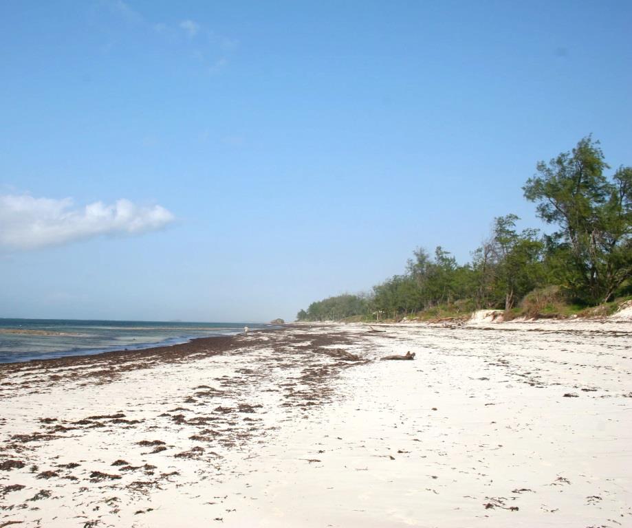 Kibirikani Ruins（水系 / 湖泊 / 海岸）-非行家旅行-Africa Wild Wander