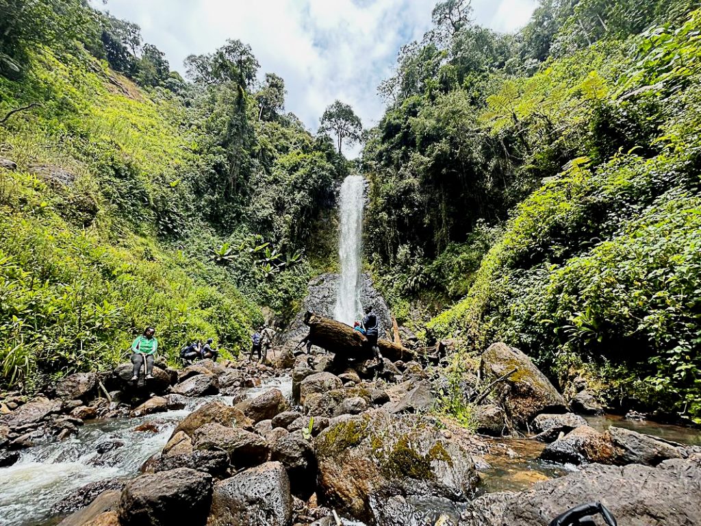 Kimakia Falls（Aberdare 森林 / 徒步）-非行家旅行-Africa Wild Wander