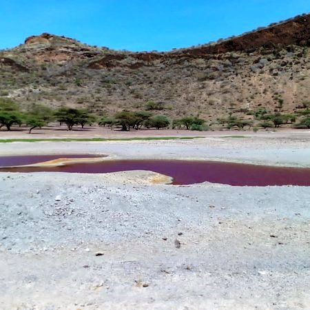 Magado Crater（水系 / 湖泊 / 海岸）-非行家旅行-Africa Wild Wander