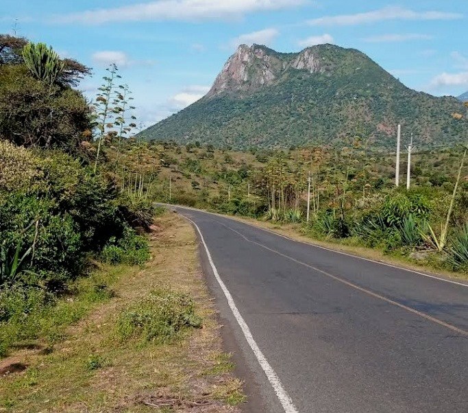 Murpus Hill（自然景观 / 徒步）-非行家旅行-Africa Wild Wander