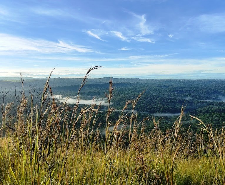 Isecheno Nature Reserve（伊塞切诺自然保护区）-非行家旅行-Africa Wild Wander