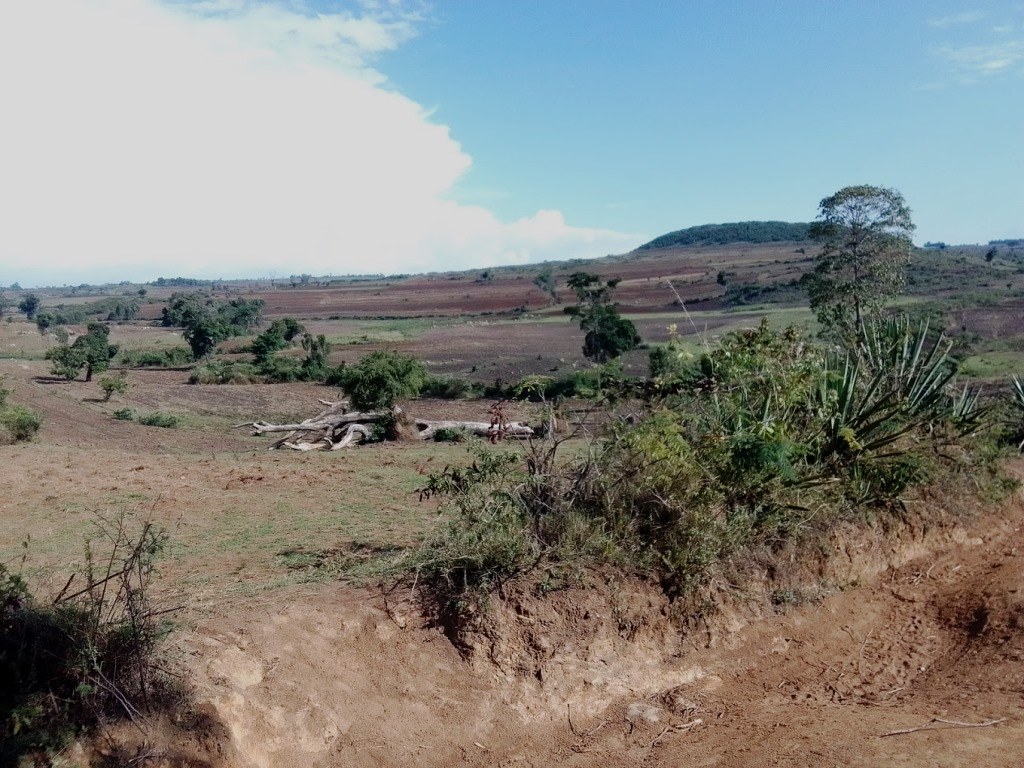 Trans-Mara Area（跨马拉区域）