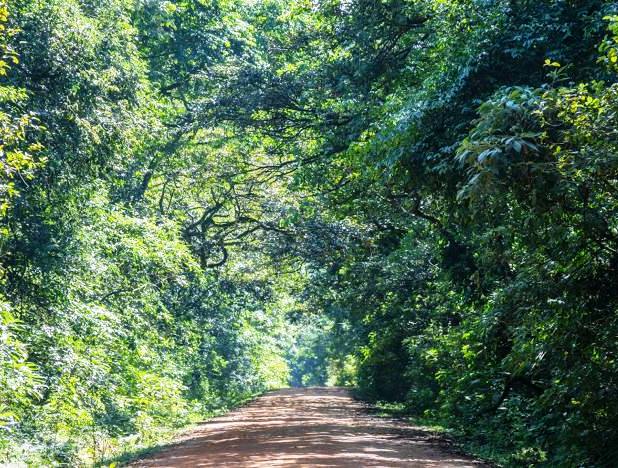 Isecheno Nature Reserve（伊塞切诺自然保护区）-非行家旅行-Africa Wild Wander