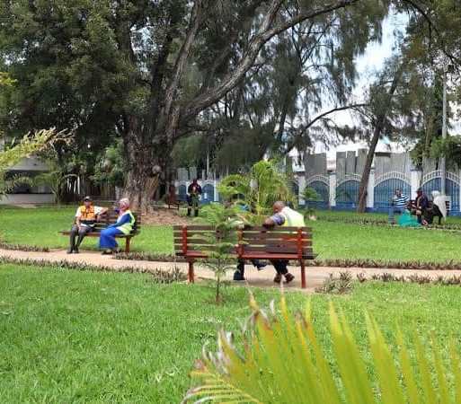 Railways Roundabout Park（生态公园 / 海洋保护）-非行家旅行-Africa Wild Wander