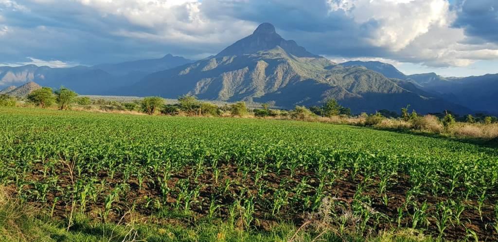 Weiwei Irrigation Scheme（水系 / 湖泊 / 海岸）-非行家旅行-Africa Wild Wander