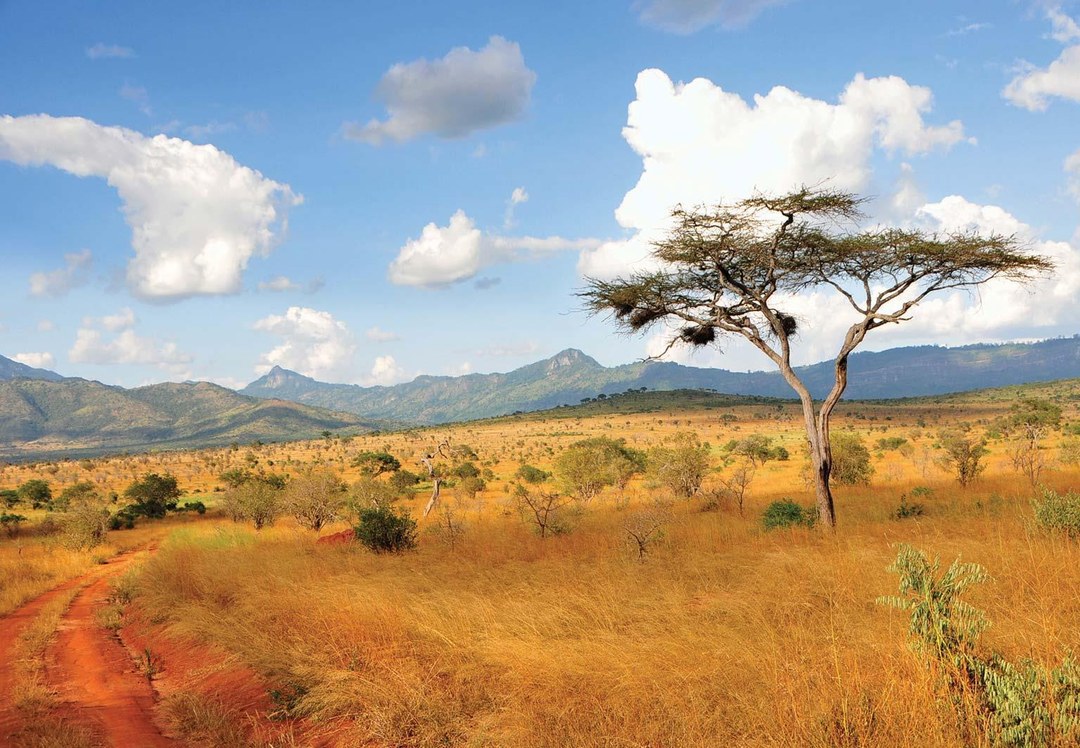 Mansa Guda（水系 / 湖泊 / 海岸）-非行家旅行-Africa Wild Wander