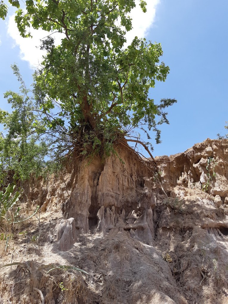 Murang'a Gorges（穆兰加峡谷）-非行家旅行-Africa Wild Wander