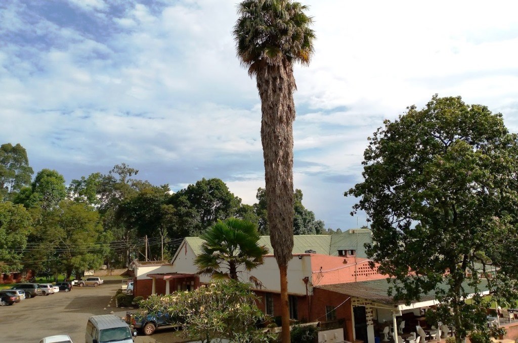 Kitale Golf Club（基塔莱高尔夫俱乐部）-非行家旅行-Africa Wild Wander