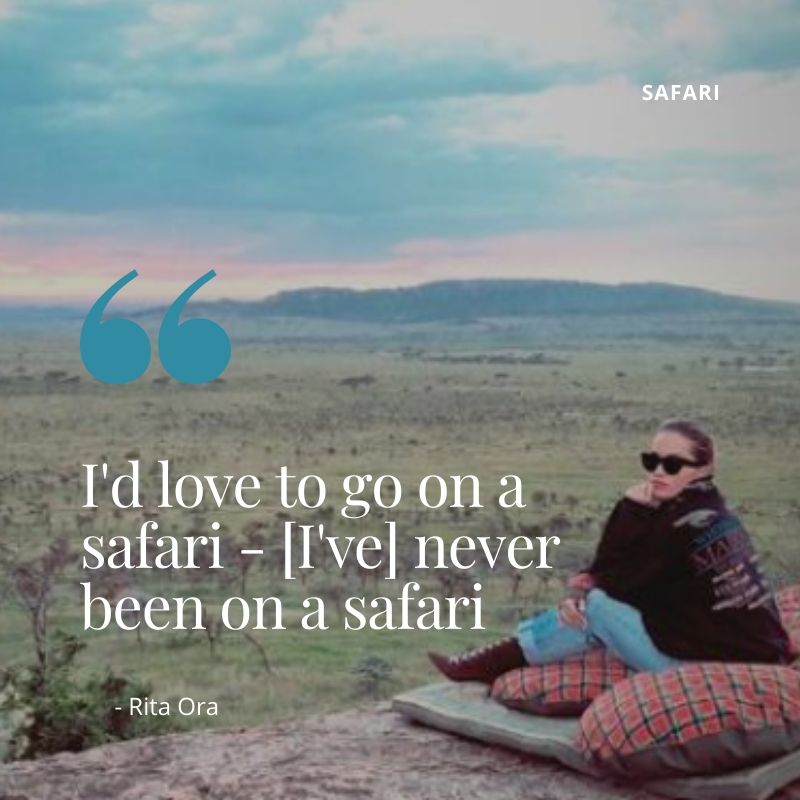 Safari Essentials（国家公园 / 保护区 / Safari）-非行家旅行-Africa Wild Wander