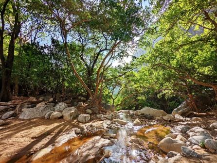 Ngurunit Rock Pools（水源 / 传统生活景观）-非行家旅行-Africa Wild Wander