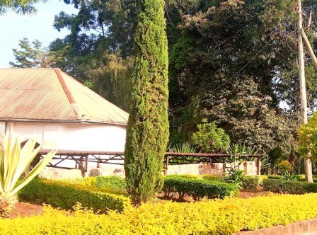 PCEA Chogoria Church（乔戈里亚长老会教堂）-非行家旅行-Africa Wild Wander