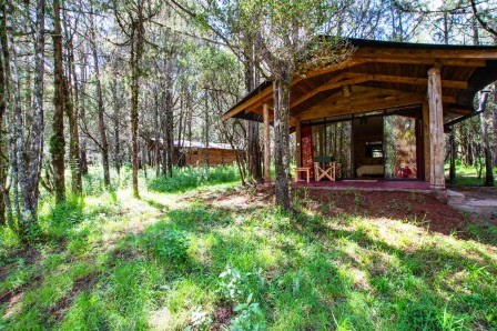 Cedar Retreat（住宿休闲 / 艺术度假）-非行家旅行-Africa Wild Wander