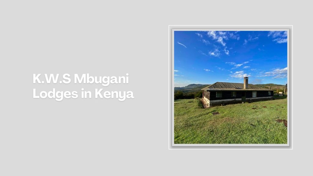 Mchelelo Bandas（水系 / 湖泊 / 海岸）-非行家旅行-Africa Wild Wander