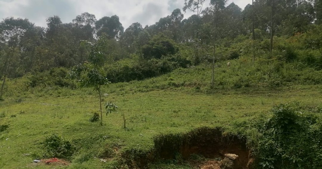 Chetambe Fort（历史遗产 / 博物馆）-非行家旅行-Africa Wild Wander