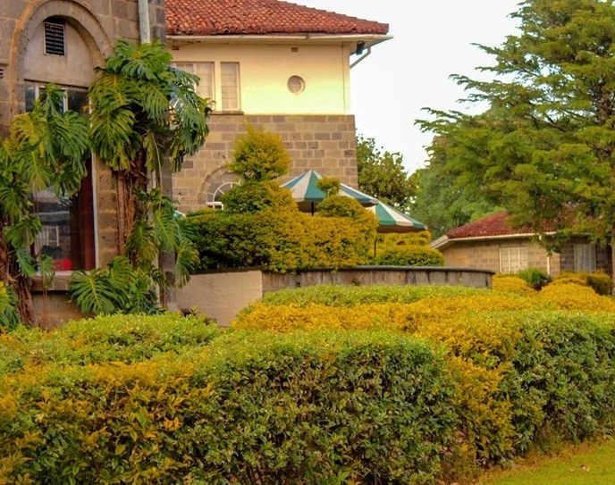 Kericho Tea Hotel（凯里乔茶园酒店）-非行家旅行-Africa Wild Wander