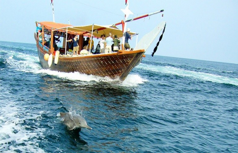 Wasini Dolphin Tour(海洋保护 / 海岛体验)-非行家旅行-Africa Wild Wander