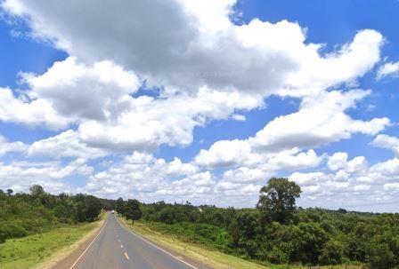 Ndaragwa Forest（瀑布 / 森林水系）-非行家旅行-Africa Wild Wander