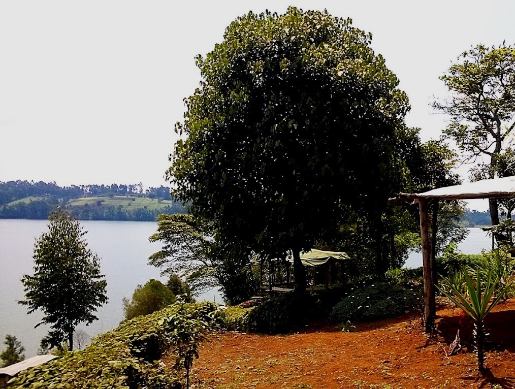 Muchiri’s Resort(住宿休闲 / 周末营地)-非行家旅行-Africa Wild Wander