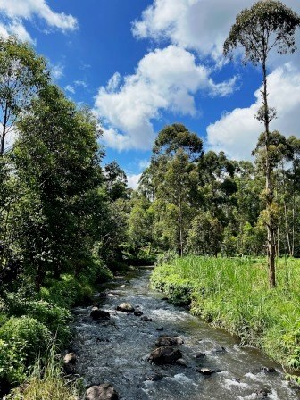 Kathiri Falls（卡蒂里瀑布）-非行家旅行-Africa Wild Wander