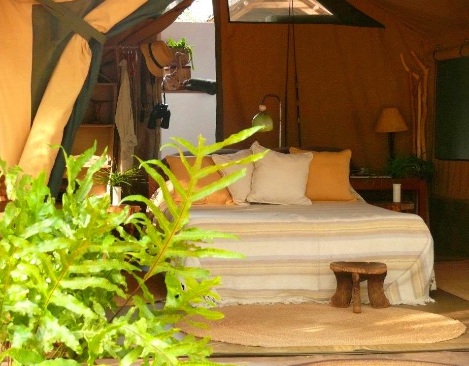 Tsavo Safari Camp（Tsavo / Chyulu / KWS 保护地）-非行家旅行-Africa Wild Wander