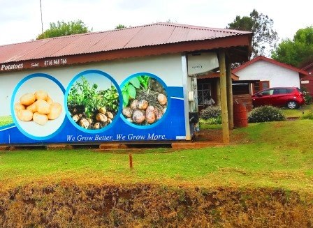 Kisima Farm（农场 / 高地农业）-非行家旅行-Africa Wild Wander