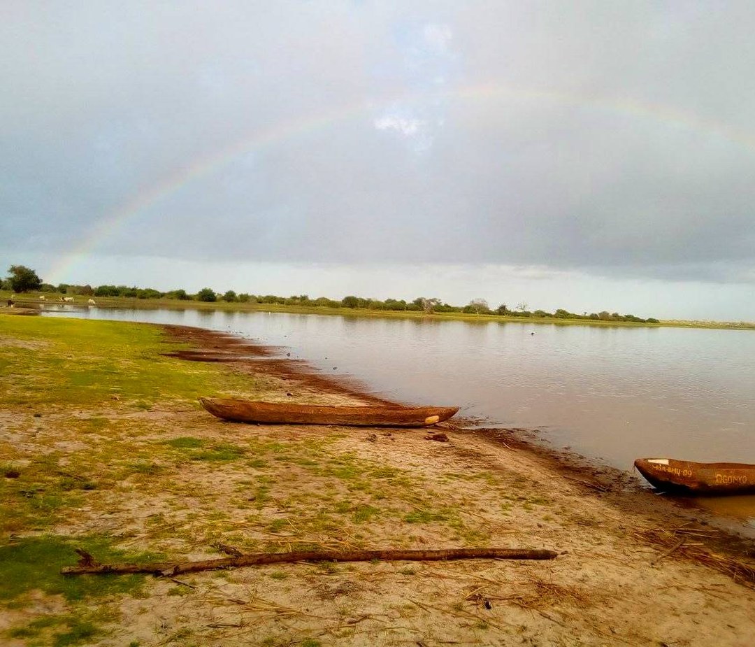 Lake Moa（水系 / 红树林）-非行家旅行-Africa Wild Wander