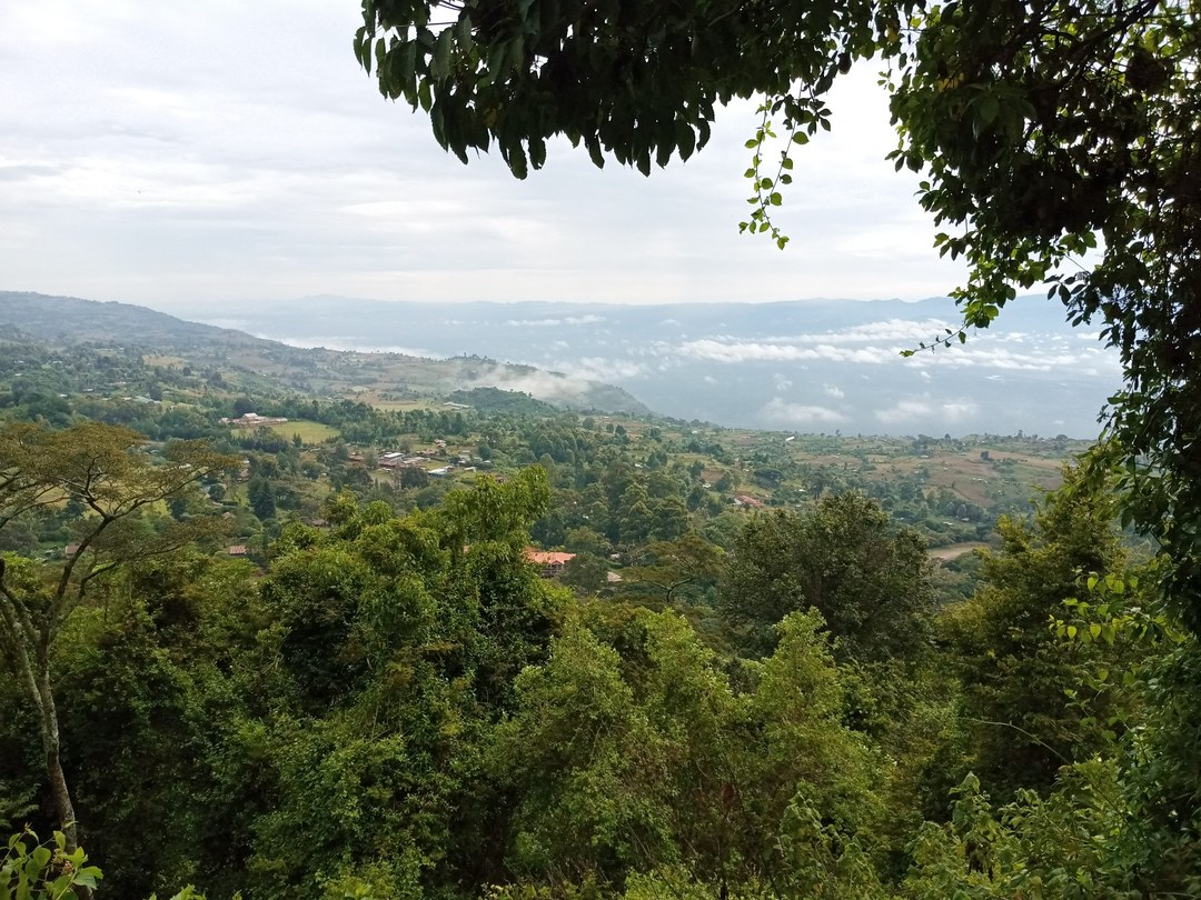 Kessup Forest（水系 / 湖泊 / 海岸）-非行家旅行-Africa Wild Wander