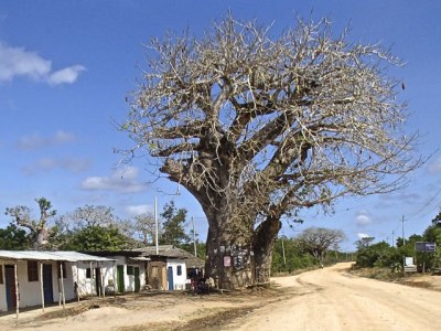 Hola Methodist Church（水系 / 湖泊 / 海岸）-非行家旅行-Africa Wild Wander