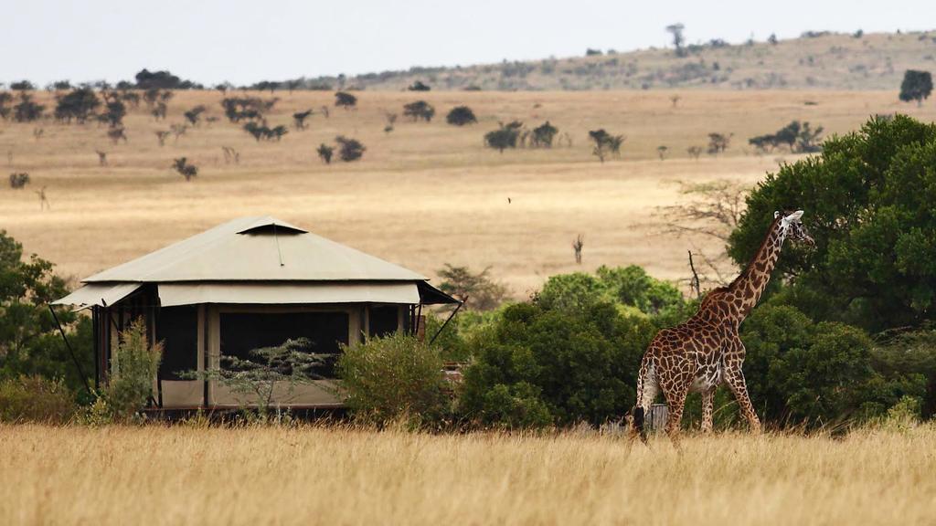 Narok County（县域概览）-非行家旅行-Africa Wild Wander