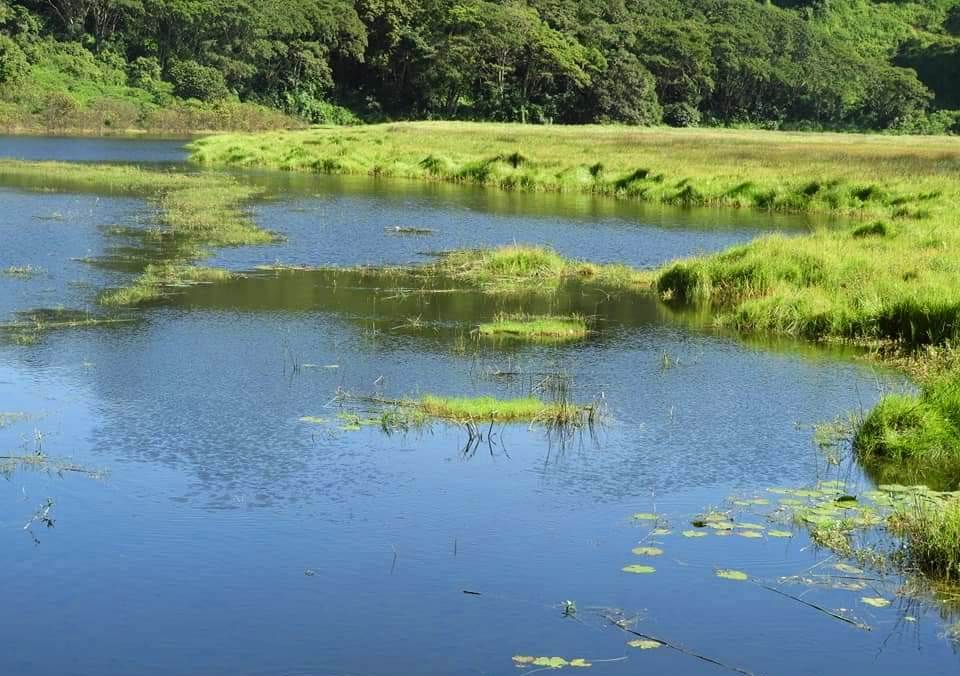 Lake Nkunga（地貌 / 瀑布 / 泉水）-非行家旅行-Africa Wild Wander