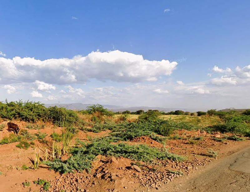 Chuine Conservancy-非行家旅行-Africa Wild Wander