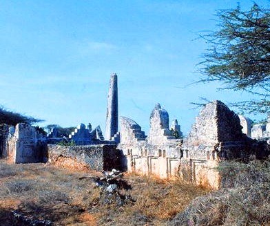 Ishakani Ruins（斯瓦希里遗产 / 博物馆）-非行家旅行-Africa Wild Wander