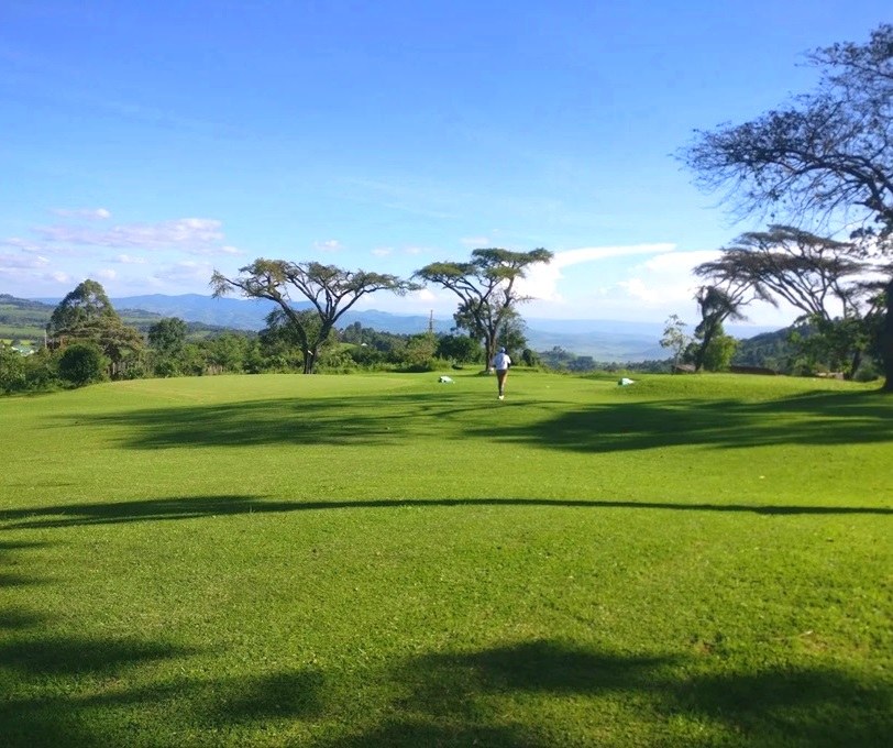 Nandi Bears Club（住宿 / 休闲设施）-非行家旅行-Africa Wild Wander