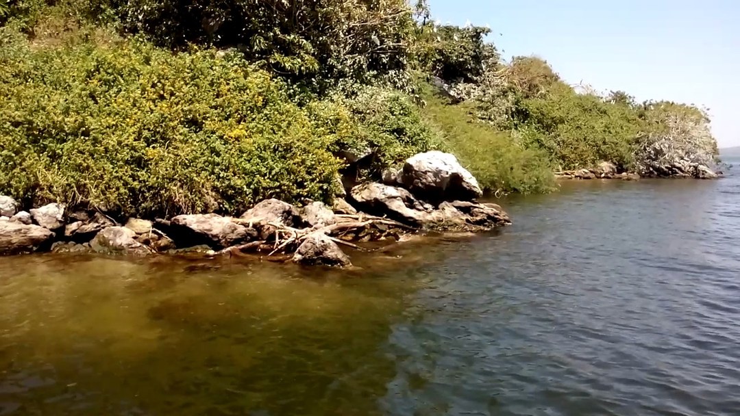 Mbasa Island（水系 / 湖泊 / 海岸）-非行家旅行-Africa Wild Wander