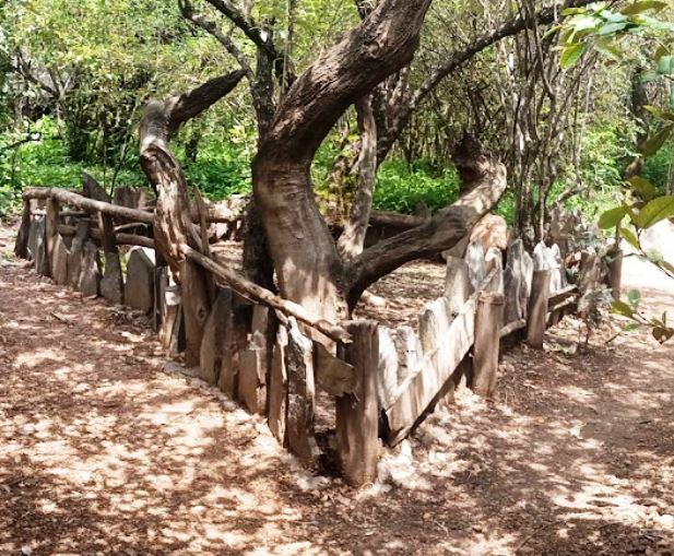 Kipsigis Oasis Sanctuary（历史遗产 / 博物馆）-非行家旅行-Africa Wild Wander
