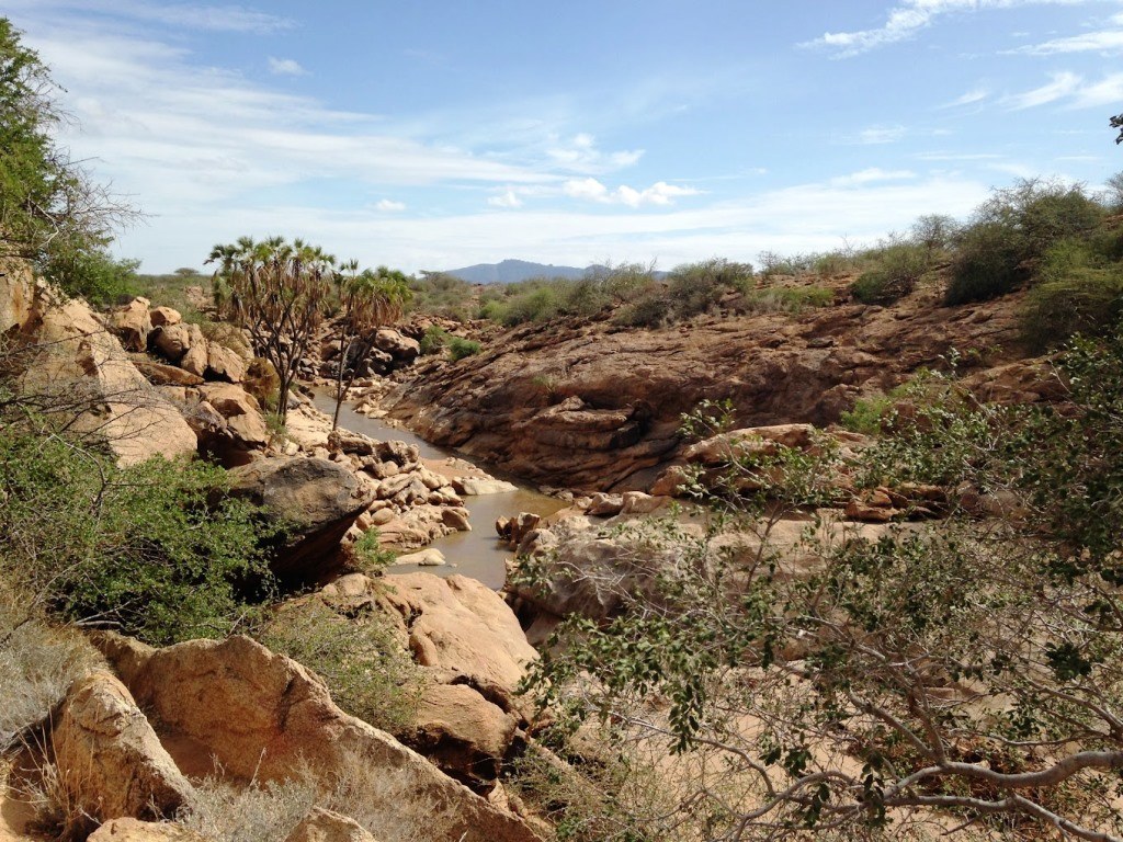 Joy's Camp Shaba（水系 / 湖泊 / 海岸）-非行家旅行-Africa Wild Wander