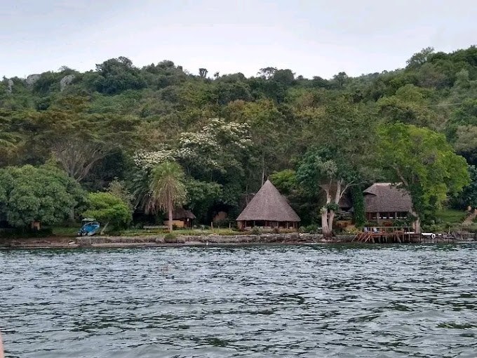 Mfangano Island Lodge（水系 / 湖泊 / 海岸）-非行家旅行-Africa Wild Wander