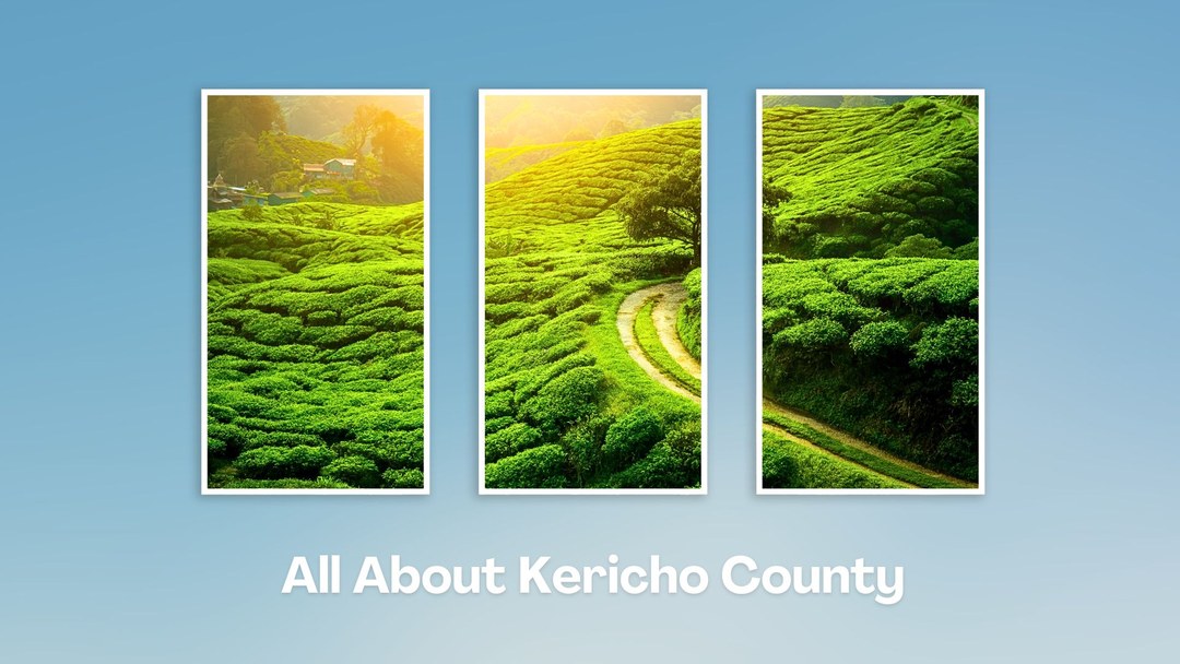 Kericho County（凯里乔县）-非行家旅行-Africa Wild Wander