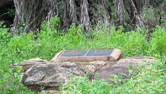 Adamson's Grave（水系 / 湖泊 / 海岸）-非行家旅行-Africa Wild Wander