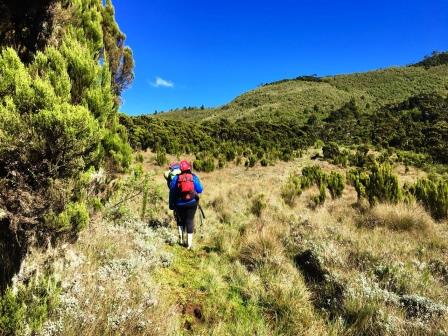 Kamweti Route（卡姆韦蒂登山线）-非行家旅行-Africa Wild Wander