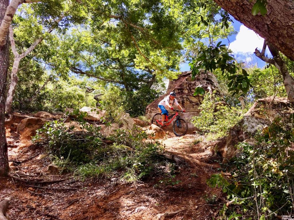 Mwangea Hill Forest（自然景观 / 徒步）-非行家旅行-Africa Wild Wander