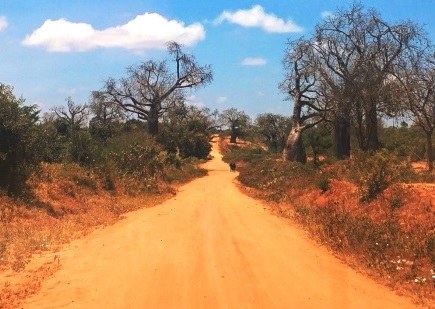 Chyulu Hills National Park（丘鲁山国家公园）-非行家旅行-Africa Wild Wander