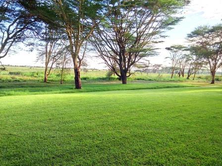 Sirikoi House(Lewa / Ngare Ndare 保护地)-非行家旅行-Africa Wild Wander