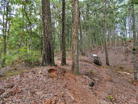 Mount Sagalla（萨加拉山）-非行家旅行-Africa Wild Wander