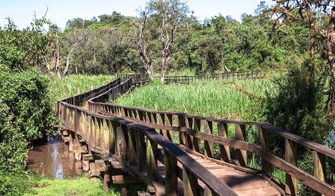 Saiwa Swamp National Park（赛瓦沼泽国家公园）-非行家旅行-Africa Wild Wander