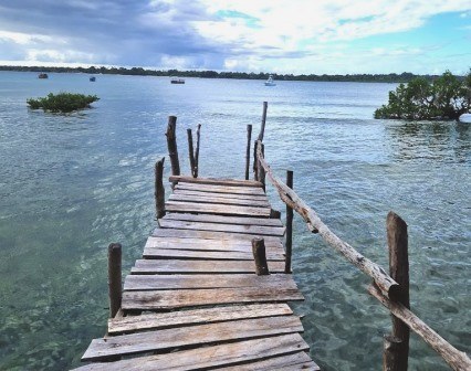 Blue Monkey Cottages（住宿餐饮 / 休闲设施）-非行家旅行-Africa Wild Wander