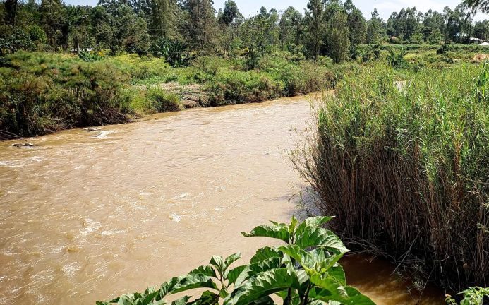 River Yala（亚拉河）-非行家旅行-Africa Wild Wander