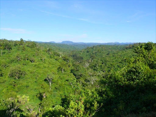 Ndaragwa Forest（瀑布 / 森林水系）-非行家旅行-Africa Wild Wander