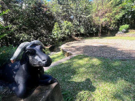 Shilahi Wellness Garden（希拉希康养花园）-非行家旅行-Africa Wild Wander