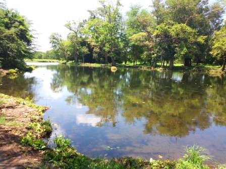 Kivungoni Springs（Kibwezi / Umani / Safari）-非行家旅行-Africa Wild Wander